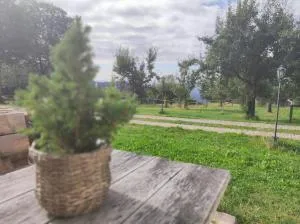 OIDE STUB'N am Grandsberg - Niederwinkling