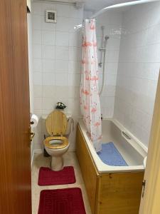 Cosy Flat Near City Centre