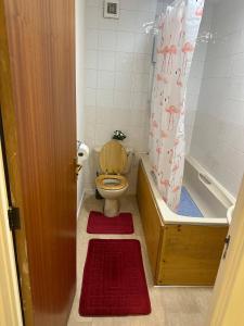 Cosy Flat Near City Centre