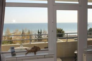 Ferienwohnung-Meeresblick