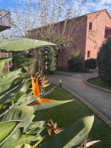 Appartements La Casa ISAIA, Cap Corse : photos des chambres