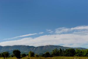 Appartamento Cardarella