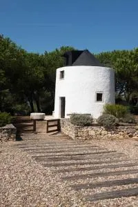 Moinho do Avo To - Chões