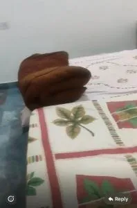 Luxury apartment - Chaukhandi