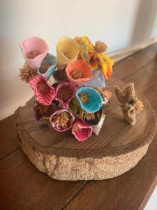 Hospedaria Zen Capelinha