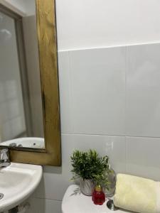 Central Apto Rincon Caribe