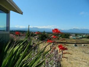 SQ Olympic-View-Cottage