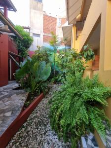 O Pharol Hostel e Pousada