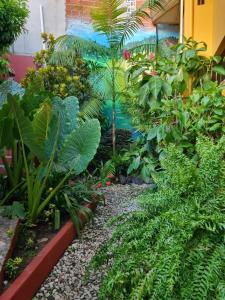 O Pharol Hostel e Pousada