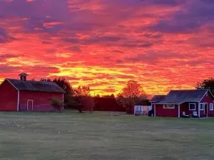 SQ The-Crab-Shack - Washington Harbor