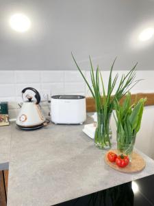 Nocleg na skraju puszczy