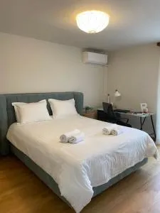 The Ioannina Lodge - IOA