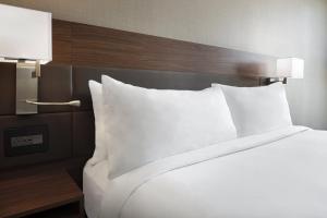 King Room room in AC Hotel St. Louis Clayton