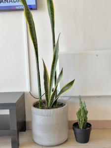 Departamento 1 Dormitorio en el Centro