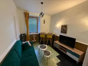 Appartement moderne avec jardin, quartier calme - Villard-Saint-Sauveur