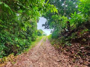 Corcovado Green Cabin & House