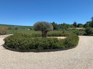 Villas Design Villa in Provence : photos des chambres