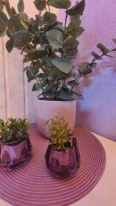 Violetinis namelis Sodyba Geras