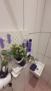 Violetinis namelis Sodyba Geras