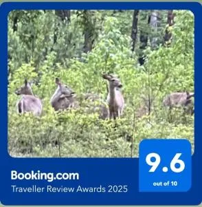 Resort Home on half a Wooded Acres Sleeps up to 14 Firepit for Smores - Malvern