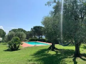 Tenuta IL RIFUGIO - Ravi