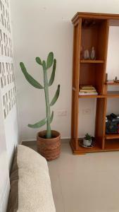 Apartamento Ciudad Jardin Barranquilla