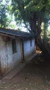 Pass Pause Park - Namanga