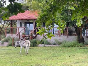 Khululeka Safaris Lodge
