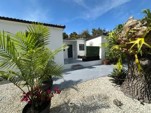 Artful Luxury in Miami Most Iconic Spot