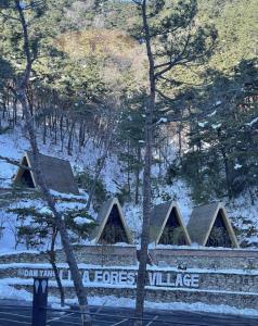 Damyang Lisa Forest Village