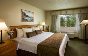 Superior King Suite room in Coast Inn at Lake Hood
