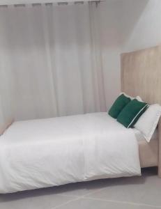 2Bedroom apartment in Kileleshwa