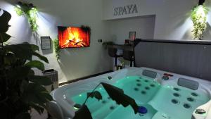 SPAYA JACUZZI centrum apartment - with home cinema & private parking