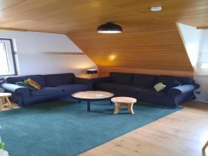 partment Anear Willingen with private terrace