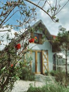Homestay - Nhà Cỏ Lâu Đà Lạt