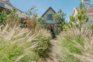 Homestay - Nhà Cỏ Lâu Đà Lạt