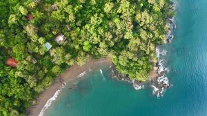 Copa De Arbol Beach & Rainforest Resort