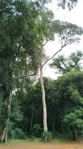 La Reserva - Villa Guntz