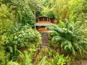 Copa De Arbol Beach & Rainforest Resort