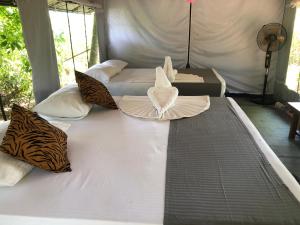 Makulu Jungle Camping Sigiriya