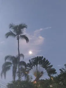 Cachanga - Praia de Palmas