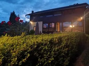 Lake House Violeta - Bistricioara