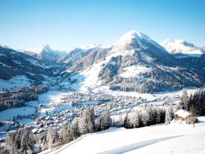 Apartment in Kirchberg near Ski Lift