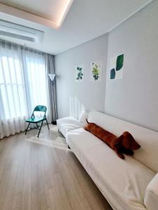 #Gwangan Bridge#광안리해수욕장#광안대교뷰#해변뷰#헬스사우나#코니하우스