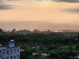 Vườn Dừa Cam Bình 2