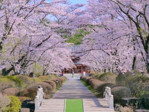 Tateshina Shinyu Onsen