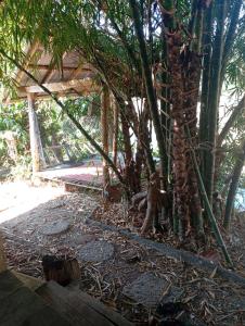 PAI STYLE RIVER House