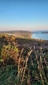 Maisons de vacances Ty Bihan : photos des chambres