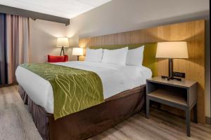Executive King Room - Non Smoking  room in Comfort Inn & Suites