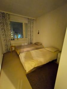 Tidy dobbel with balcony and sauna